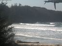 ./images/calvert/beach/20210325/beach20210325_114502.jpg