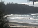 ./images/calvert/beach/20210325/beach20210325_123503.jpg