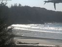 ./images/calvert/beach/20210325/beach20210325_132502.jpg