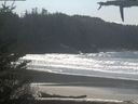 ./images/calvert/beach/20210325/beach20210325_133502.jpg