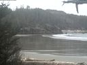 ./images/calvert/beach/20210326/beach20210326_154502.jpg