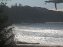 ./images/calvert/beach/20210328/beach20210328_124002.jpg