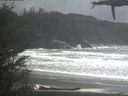 ./images/calvert/beach/20210328/beach20210328_154002.jpg