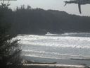 ./images/calvert/beach/20210329/beach20210329_125503.jpg