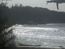 ./images/calvert/beach/20210329/beach20210329_132503.jpg