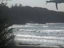 ./images/calvert/beach/20210329/beach20210329_133503.jpg