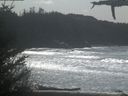 ./images/calvert/beach/20210329/beach20210329_134002.jpg