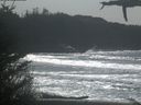 ./images/calvert/beach/20210329/beach20210329_140002.jpg