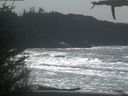 ./images/calvert/beach/20210329/beach20210329_141002.jpg