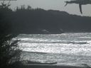 ./images/calvert/beach/20210329/beach20210329_141502.jpg