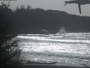 ./images/calvert/beach/20210329/beach20210329_142001.jpg