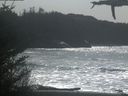 ./images/calvert/beach/20210329/beach20210329_142502.jpg