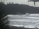 ./images/calvert/beach/20210329/beach20210329_144503.jpg