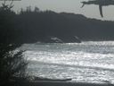 ./images/calvert/beach/20210329/beach20210329_145002.jpg