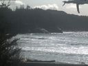 ./images/calvert/beach/20210329/beach20210329_151002.jpg