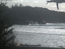 ./images/calvert/beach/20210329/beach20210329_152002.jpg