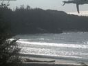 ./images/calvert/beach/20210330/beach20210330_134502.jpg