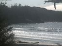./images/calvert/beach/20210330/beach20210330_135501.jpg