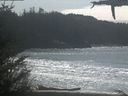 ./images/calvert/beach/20210330/beach20210330_140502.jpg