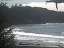 ./images/calvert/beach/20210330/beach20210330_141003.jpg
