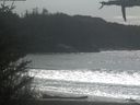 ./images/calvert/beach/20210330/beach20210330_144503.jpg