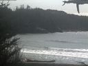 ./images/calvert/beach/20210330/beach20210330_145003.jpg
