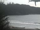 ./images/calvert/beach/20210330/beach20210330_145503.jpg