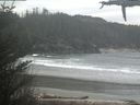 ./images/calvert/beach/20210331/beach20210331_140002.jpg