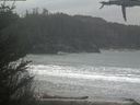 ./images/calvert/beach/20210331/beach20210331_145002.jpg