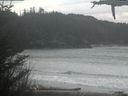 ./images/calvert/beach/20210331/beach20210331_152502.jpg
