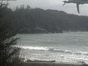 ./images/calvert/beach/20210331/beach20210331_155503.jpg