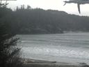 ./images/calvert/beach/20210331/beach20210331_163501.jpg