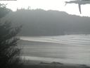 ./images/calvert/beach/20210401/beach20210401_134503.jpg