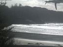./images/calvert/beach/20210401/beach20210401_143502.jpg
