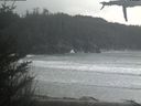 ./images/calvert/beach/20210401/beach20210401_165502.jpg