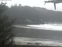 ./images/calvert/beach/20210402/beach20210402_143502.jpg