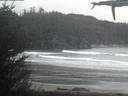./images/calvert/beach/20210403/beach20210403_202502.jpg