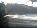 ./images/calvert/beach/20210404/beach20210404_092002.jpg