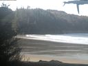./images/calvert/beach/20210404/beach20210404_100502.jpg