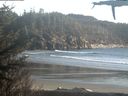 ./images/calvert/beach/20210404/beach20210404_190502.jpg