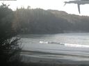 ./images/calvert/beach/20210405/beach20210405_085503.jpg