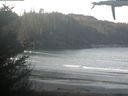 ./images/calvert/beach/20210405/beach20210405_090502.jpg