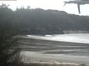 ./images/calvert/beach/20210405/beach20210405_113501.jpg