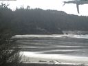 ./images/calvert/beach/20210405/beach20210405_135503.jpg