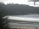 ./images/calvert/beach/20210406/beach20210406_113502.jpg