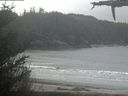 ./images/calvert/beach/20210407/beach20210407_100502.jpg