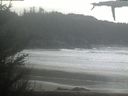 ./images/calvert/beach/20210409/beach20210409_095503.jpg