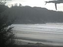 ./images/calvert/beach/20210409/beach20210409_100003.jpg