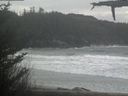 ./images/calvert/beach/20210409/beach20210409_115502.jpg