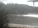 ./images/calvert/beach/20210409/beach20210409_165003.jpg